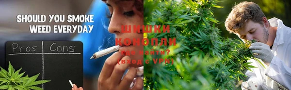 spice Богданович