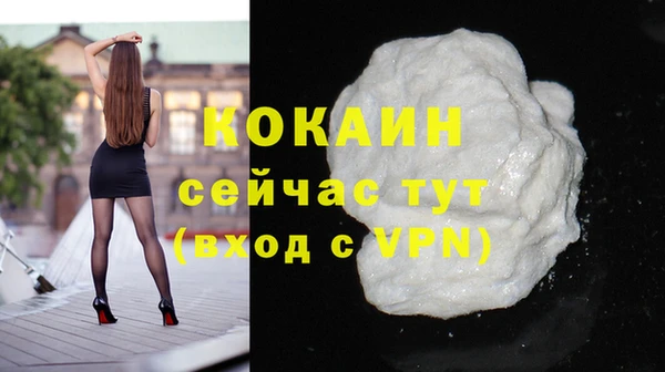 spice Богданович