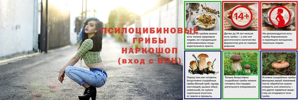 ешки Богородск